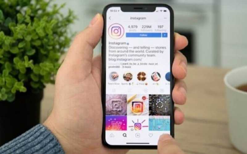 Instagram a rede social que tem conquistado empreendedores