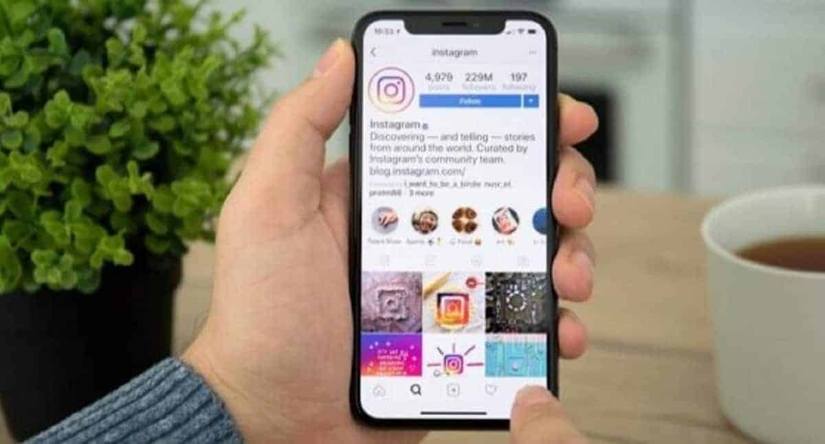 Instagram a rede social que tem conquistado empreendedores