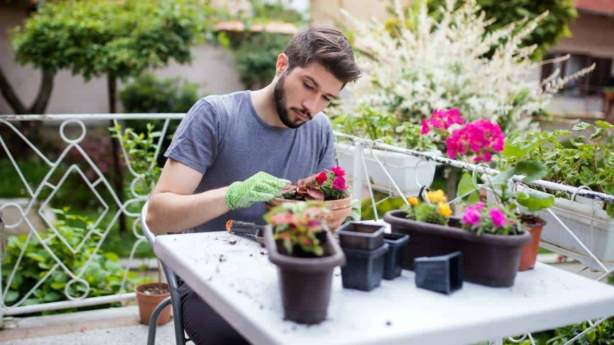 Que plantas você deveria evitar no seu jardim