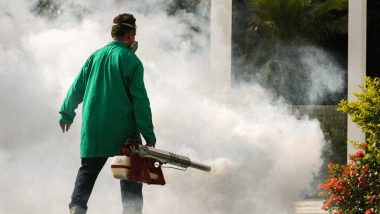 Combate à Dengue: Empresas na Linha de Frente Contra a Epidemia